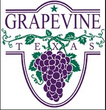 Grapevine foam insulation